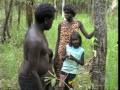 How Yolngu prepare Djitama, a toxic bush yam, for eating - important cultural information