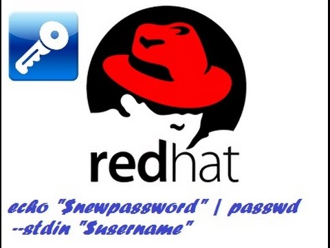 how to provide password in shell script