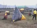 Paintball: Dynasty Vs. SC Ironmen Paintball: Dynasty Vs. SC Ironmen