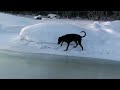 Jahuu skitsoilee taas...