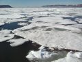 Breaking the ice 3 (Freemansundet, Svalbard archipelago)
