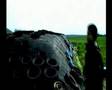 videos de wraak