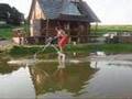 Waterbird