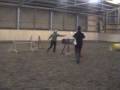 videos de Training Uschi mit Blizz, 21.12.08
