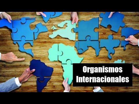 Organismos Internacionales
