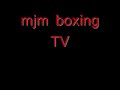 unlicensed boxing stoped with body punch