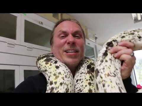 YouTube reptile video