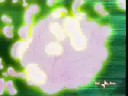 Winx transform