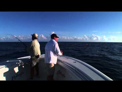 Yellowfin Yachts - Fishing out of Islamorada, FL, John Brownlee of Saltwater Sportsman and Kevin Barker of Yellowfin Yachts get lit up by a couple of Atlantic sails. Capt. Nick...