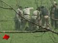 Raw Video: Pakistan Military Retakes Academy