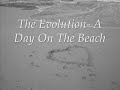 TheEvolution- A Day On The Beach TheEvolution- A Day On The Beach