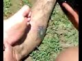 huvo sangre en el convivio