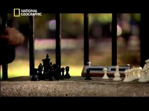 natgeo - A spectacular documentary by National Geographic. It took around 2 years in multiple countries to make this one. This documentary has been aired in well over...