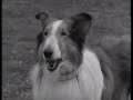 Classic TV Commercials from NICK JR. in 1991 Classic TV Commercials from NICK JR. in 1991