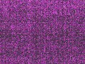 SCEN11