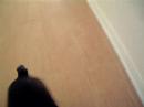 George the French Bulldog pup and I