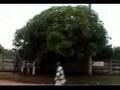 Yaounde to Douala