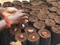 NCF India - Fixing Fragmented Forests NCF India - Fixing Fragmented Forests