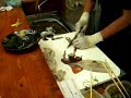 High-speed japanese cook! Living squid.