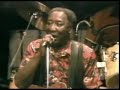 Muddy Waters & Johnny Winter-Walking Thru the Park Muddy Waters & Johnny Winter-Walking Thru the Park