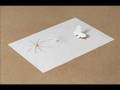 Paper Art Contest