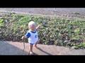 Hudson and his Stick