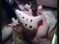 Clip 02: Standard Alto Ocarina (update)