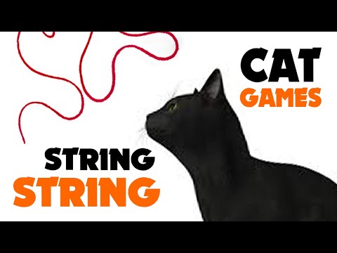 STRING STRING thing for all cats ★ CAT GAMES