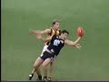 Fevola