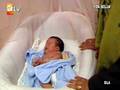 Ninni Bebek