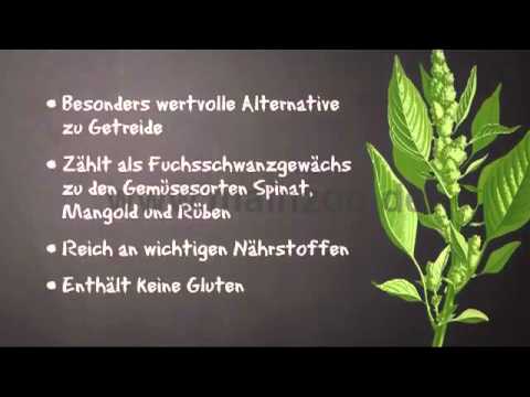 Belcando Getreidefreies Hundefutter