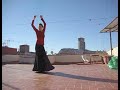 Tina y el flamenco