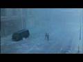  - MovieZen Video
