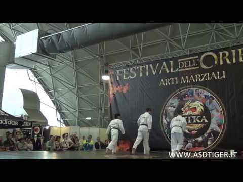 Tiger DemoTeam Taekwondo presso Festival dell'Oriente e delle Arti Marziali - Novegro 2013
