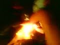 fetita