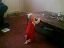 Alfie crawling