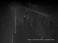[video-image]