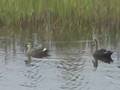 LakeTown20081026-2
