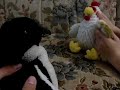 The Life of Flightless Bird Show - The Interview The Life of Flightless Bird Show - The Interview
