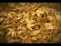 Sigur R�s - D�t (Svo Hlj�tt, Minn Heima Contest)