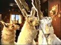 COMERCIALES CHISTOSOS ESTUPIDECES