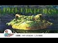 videos de 立體書: Predators (掠食者)