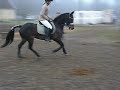 philippa 060.mov