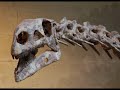 Dinosaurios