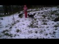 Sixten & Nikki & Amanda Riddarhyttan 2011-12-17 VID00283.AVI