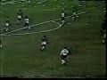 Vanderlei Luxemburgo VS Oscar Roberto Godoy