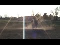 Horses,barrel,racing