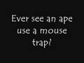 The Death of a Mouse and Evolution