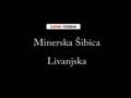 Livanjska