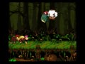 Donkey Kong Country 2 - (3-1) - Barrel Bayou